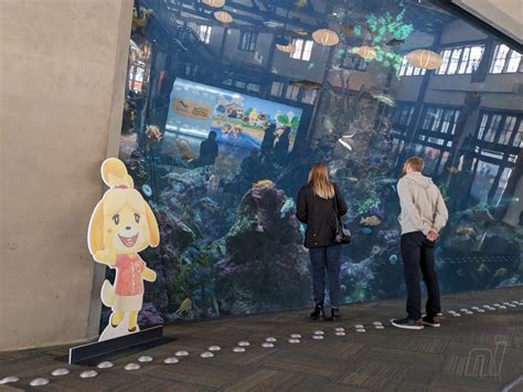 Collect them all Animal Crossing New Horizons comes to life at the Seattle Aquarium. . Animal crossing seattle aquarium
